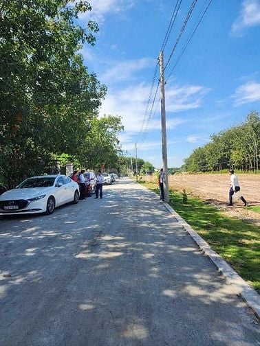 Đất Hiếm Giá Ngộp Chính Chủ Tại Tân Long Phú Giáo