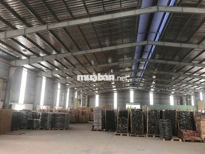 Xưởng bán giá rẻ ĐH-619 xã Long Nguyên, Bàu Bàng 8.000m² giá 5,5 tr/m²