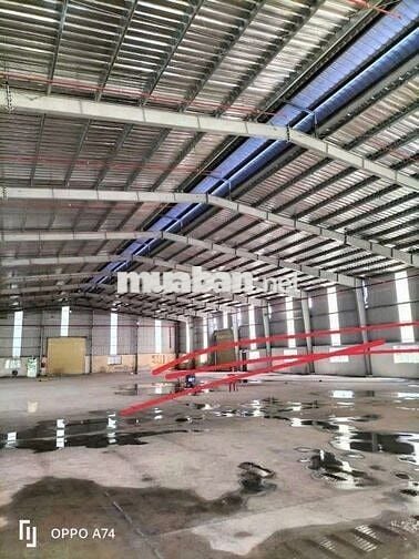 Xưởng bán giá rẻ ĐH-619 xã Long Nguyên, Bàu Bàng 8.000m² giá 5,5 tr/m²