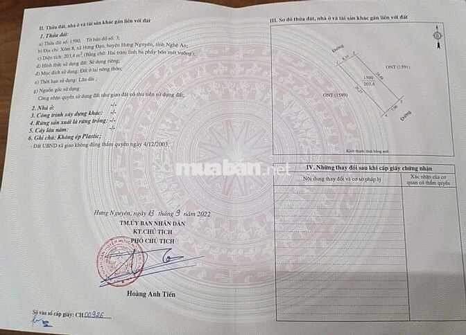 Đất xóm 8, xã Hưng Nguyên, Nghệ An. Dt 203,4m2 mặt tiền đường 18m