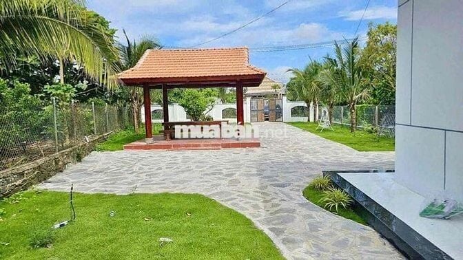 Căn nhà vườn 1000m2 sổ hồng sẵn công chứng ngay