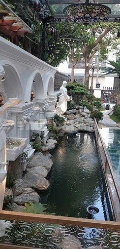 🌿 PHÚ GIA LANDSCAPE – THIẾT KẾ & THI CÔNG HỒ CÁ KOI CHUYÊN NGHIỆP 🐠.