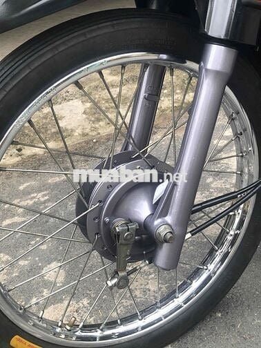 🌻DREAM  Lùn Thái 1998 Bs F4 bốn con🌼