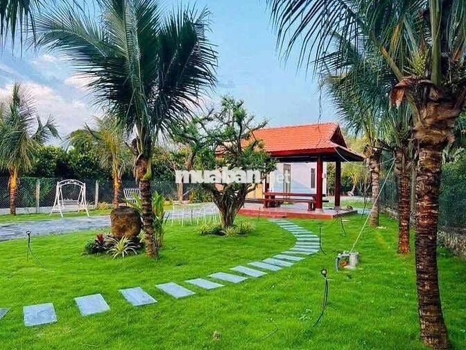 Căn nhà vườn 1000m2 sổ hồng sẵn công chứng ngay