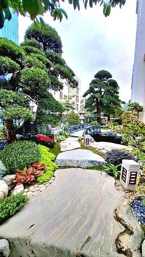 🌿 PHÚ GIA LANDSCAPE – THIẾT KẾ & THI CÔNG HỒ CÁ KOI CHUYÊN NGHIỆP 🐠.