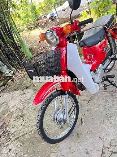 cup 50 màu hót đời mới