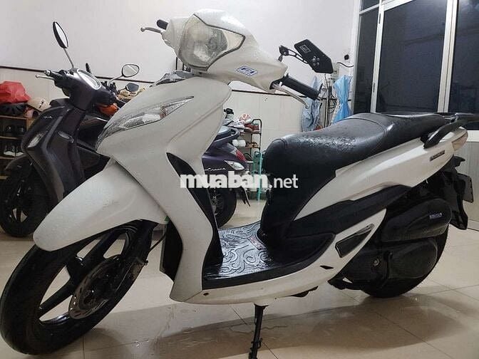 XE TAY GA SHARK 125 HÀNG HIẾM BẢN GIỐNG SH BIỂN 43