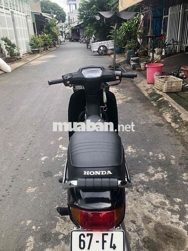 🌻DREAM  Lùn Thái 1998 Bs F4 bốn con🌼