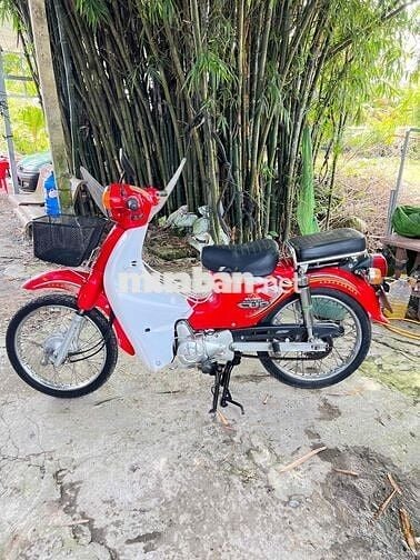 cup 50 màu hót đời mới