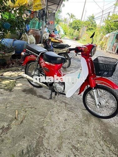 cup 50 màu hót đời mới