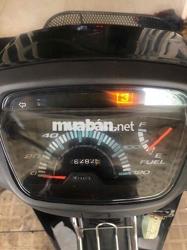 🌻DREAM  Lùn Thái 1998 Bs F4 bốn con🌼