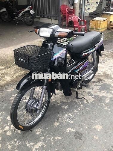 🌻DREAM  Lùn Thái 1998 Bs F4 bốn con🌼