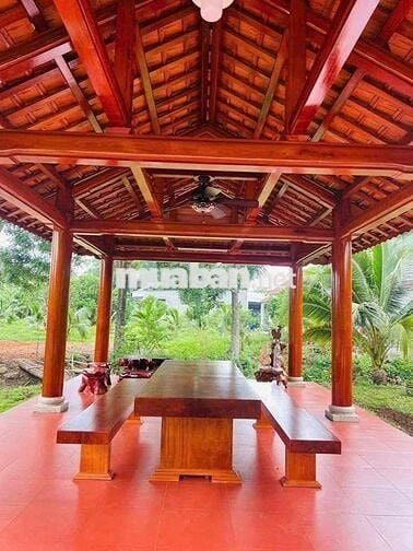 Căn nhà vườn 1000m2 sổ hồng sẵn công chứng ngay