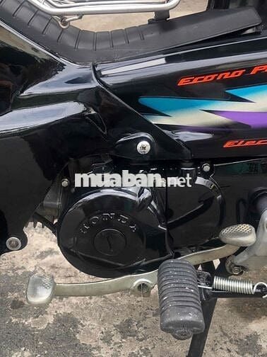 🌻DREAM  Lùn Thái 1998 Bs F4 bốn con🌼