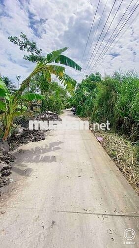 Nền 89m2 Full TC cách Phố Ông Lang vài bước chân