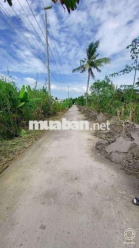 Nền 89m2 Full TC cách Phố Ông Lang vài bước chân