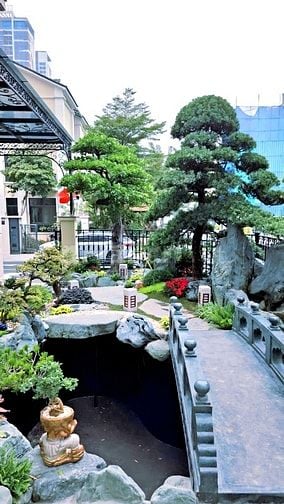 30 MẪU HỒ CÁ KOI NGOÀI TRỜI ĐẸP - UY TÍN - CHẤT LƯỢNG 