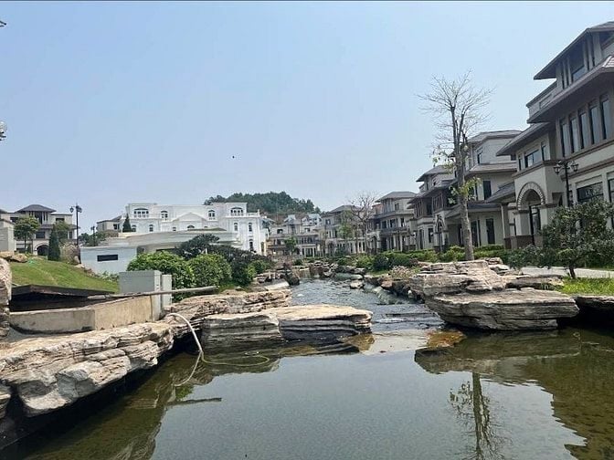 30 MẪU HỒ CÁ KOI NGOÀI TRỜI ĐẸP - UY TÍN - CHẤT LƯỢNG 