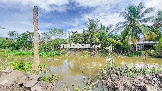 Nền 89m2 Full TC cách Phố Ông Lang vài bước chân