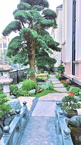 30 MẪU HỒ CÁ KOI NGOÀI TRỜI ĐẸP - UY TÍN - CHẤT LƯỢNG 