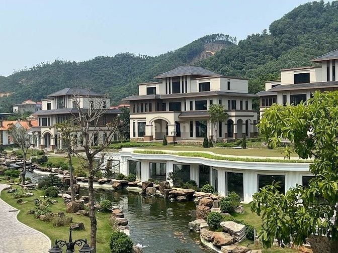 30 MẪU HỒ CÁ KOI NGOÀI TRỜI ĐẸP - UY TÍN - CHẤT LƯỢNG 