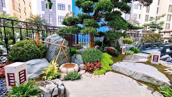 30 MẪU HỒ CÁ KOI NGOÀI TRỜI ĐẸP - UY TÍN - CHẤT LƯỢNG 