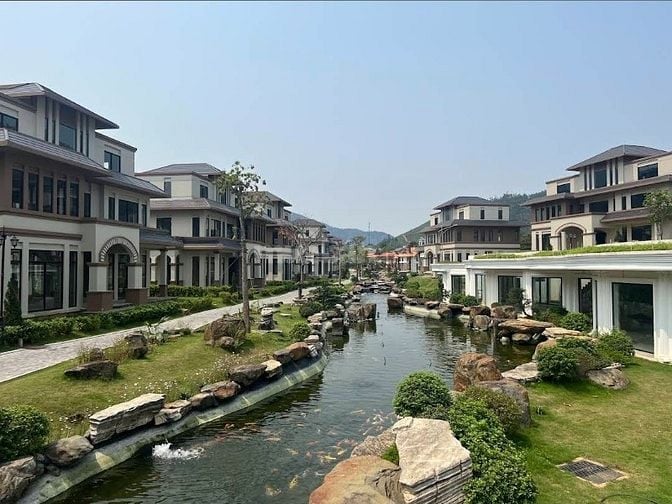 30 MẪU HỒ CÁ KOI NGOÀI TRỜI ĐẸP - UY TÍN - CHẤT LƯỢNG 