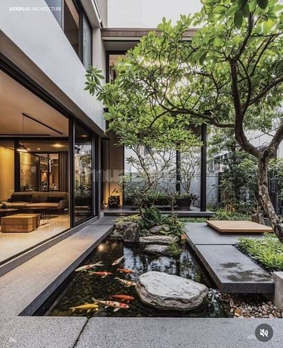 30 MẪU HỒ CÁ KOI NGOÀI TRỜI ĐẸP - UY TÍN - CHẤT LƯỢNG 