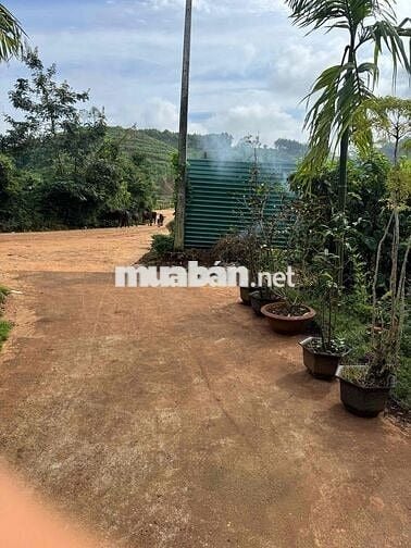 Lô đất thổ cư khu vực kim phát hoà hiệp