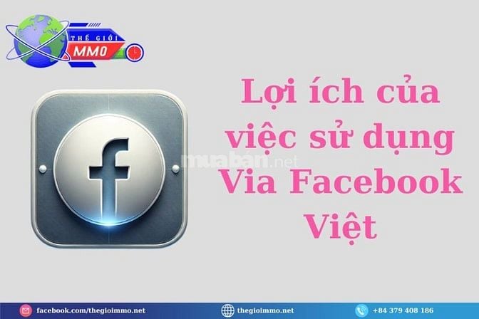 Nuôi VIA Facebook Việt không bị checkpoint – hướng dẫn chi tiết
