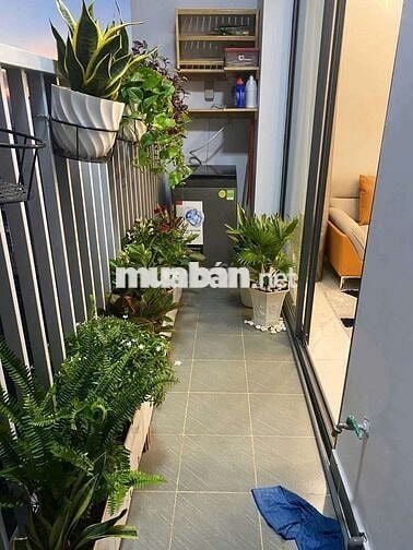 (6003) star Tower, 55,6 m2 ,bao sổ hồng: 1, 350 tỷ. Thuê 7,5 triệu/th