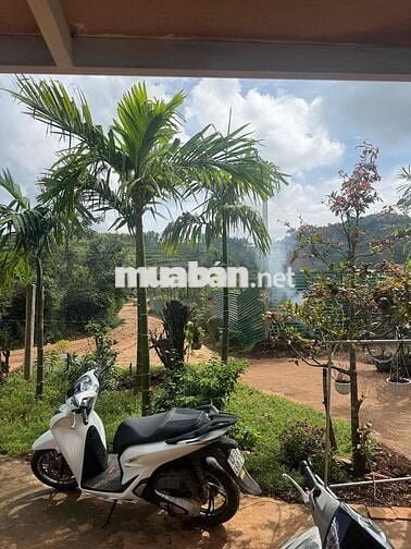 Lô đất thổ cư khu vực kim phát hoà hiệp