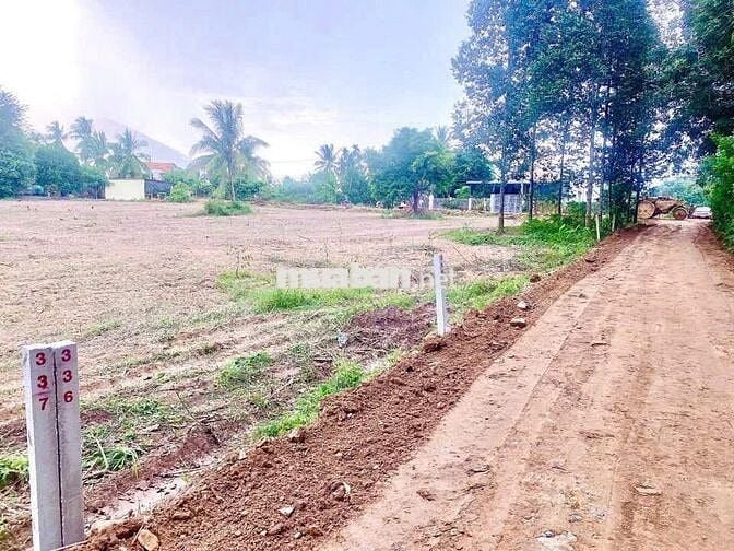 CẦN BÁN LÔ ĐẤT 1000M2 ĐƯỜNG HƯƠNG LỘ 2, TRẢNG BÀNG TÂY NINH GIÁ 1 TỶ 2