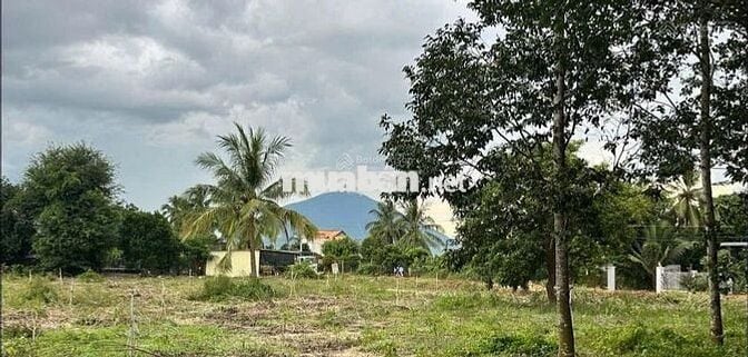 CẦN BÁN LÔ ĐẤT 1000M2 ĐƯỜNG HƯƠNG LỘ 2, TRẢNG BÀNG TÂY NINH GIÁ 1 TỶ 2