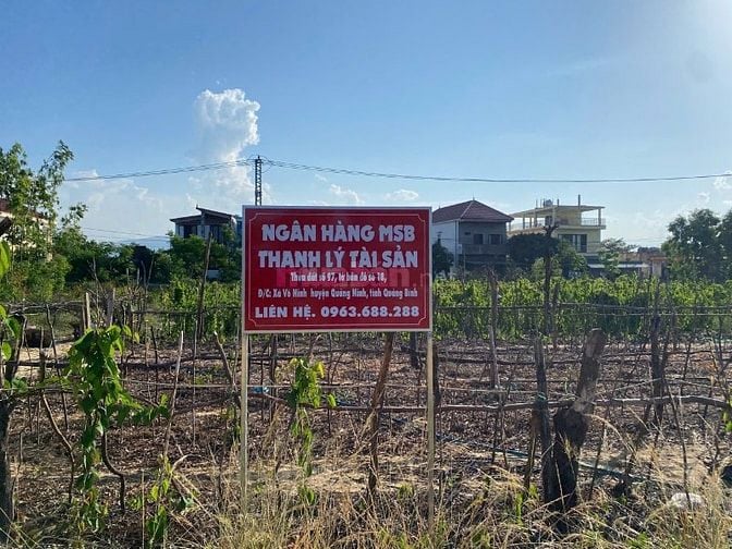 TBĐG Thửa đất 97, tờ bản đồ 18 tại xã Quảng Ninh, tỉnh Quảng Trị