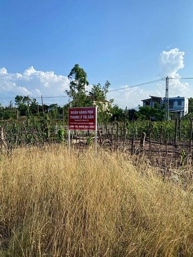 TBĐG Thửa đất 97, tờ bản đồ 18 tại xã Quảng Ninh, tỉnh Quảng Trị