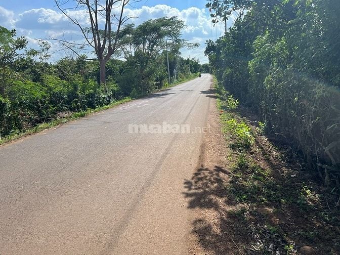 Cần bán đất ấp 18 Gia Định, xã Bảo Quang, thành phố Long Khánh, tỉnh Đ