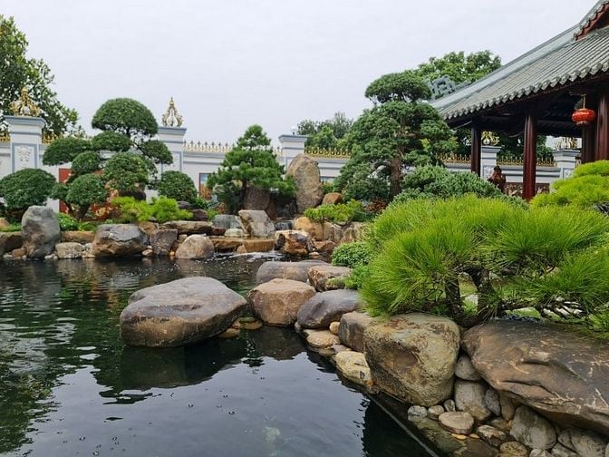 🌿 PHÚ GIA LANDSCAPE – THIẾT KẾ & THI CÔNG HỒ CÁ KOI CHUYÊN NGHIỆP 🐠.