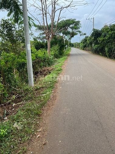 Cần bán đất ấp 18 Gia Định, xã Bảo Quang, thành phố Long Khánh, tỉnh Đ