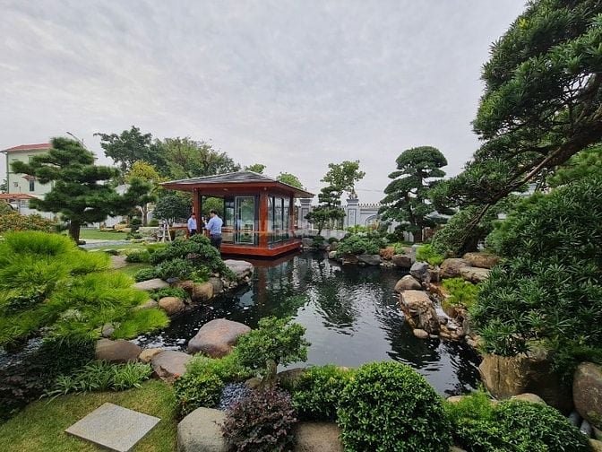 🌿 PHÚ GIA LANDSCAPE – THIẾT KẾ & THI CÔNG HỒ CÁ KOI CHUYÊN NGHIỆP 🐠.