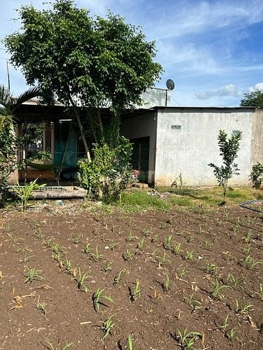 Cần bán đất ấp 18 Gia Định, xã Bảo Quang, thành phố Long Khánh, tỉnh Đ