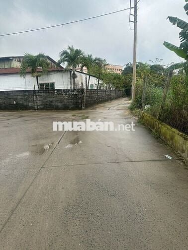 BÁN ĐẤT THỔ DT( 5*23) 1 SẸC ĐƯỜNG THỊ TRẤN TÂN HIỆP, SÁT THỊ TRẤN HM