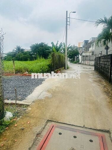 BÁN ĐẤT THỔ DT( 5*23) 1 SẸC ĐƯỜNG THỊ TRẤN TÂN HIỆP, SÁT THỊ TRẤN HM