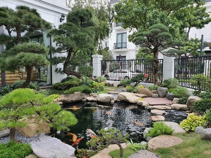 🌿 PHÚ GIA LANDSCAPE – THIẾT KẾ & THI CÔNG HỒ CÁ KOI CHUYÊN NGHIỆP 🐠.