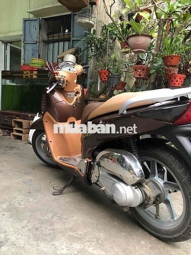 bán sh 150 cà phê 2008 chính chủ