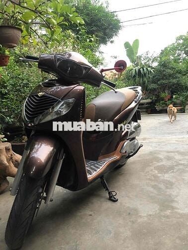 bán sh 150 cà phê 2008 chính chủ