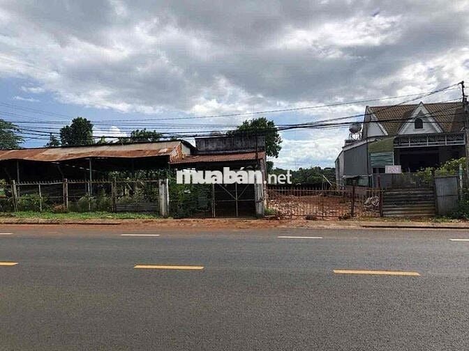 BÁN ĐẤT MẶT TIỀN KINH DOANH NGUYỄN THỊ ĐỊNH – FULL THỔ