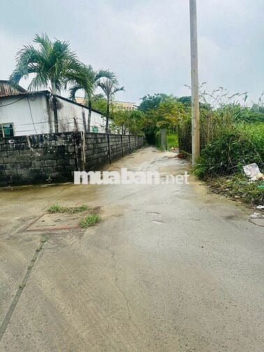 BÁN ĐẤT THỔ DT( 5*23) 1 SẸC ĐƯỜNG THỊ TRẤN TÂN HIỆP, SÁT THỊ TRẤN HM