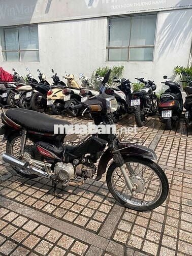 Xe dream Hàn Quốc bstp