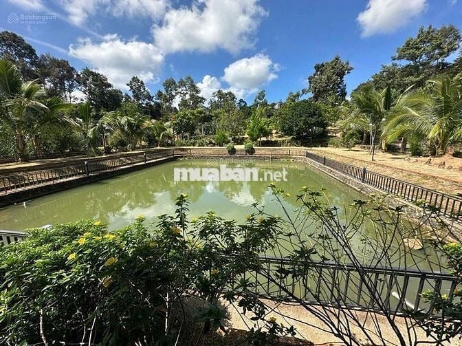 Ngộp nên bán lỗ nặng lô đất 1622m2 giá 300triệu có sẵn khuôn viên vườn